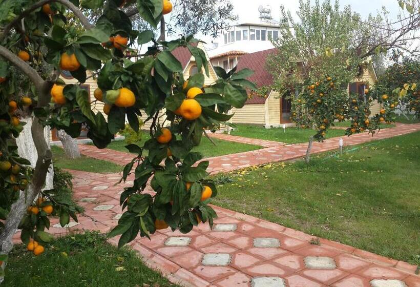 Бунгало Deluxe, İdavilla Bungalov & Bahçe