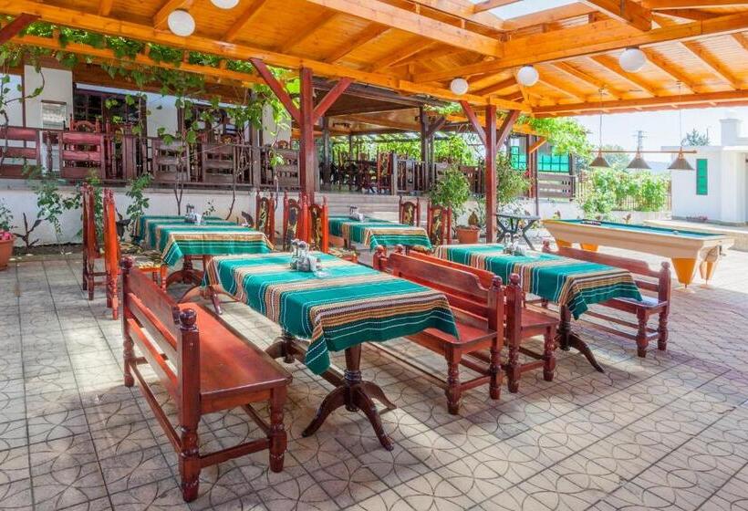 Номер Стандарт Индивидуальный, Stefanov 1