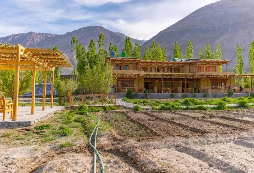 スタンダードルーム, Nubra Ecolodge