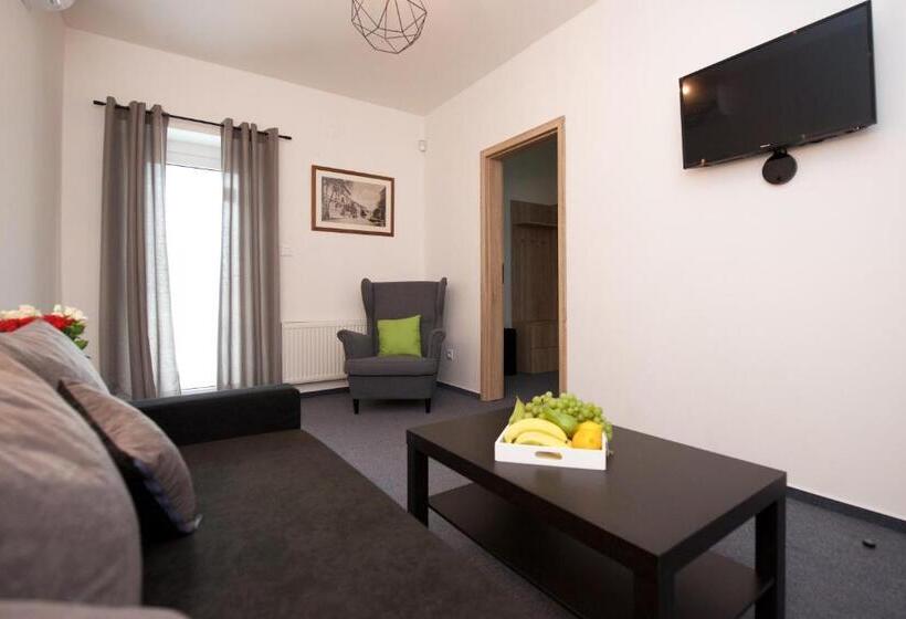 带1个卧室的豪华公寓, Penzion Formula