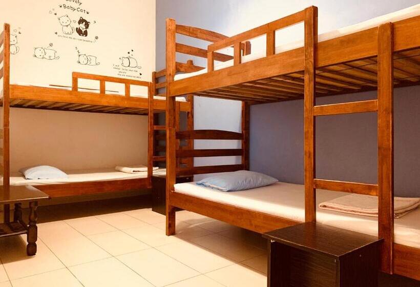 חדר סטנדרטי לארבעה עם חדר אמבטיה משותף, Prima B&b Hostel