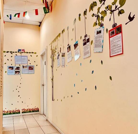 חדר סטנדרט, Prima B&b Hostel