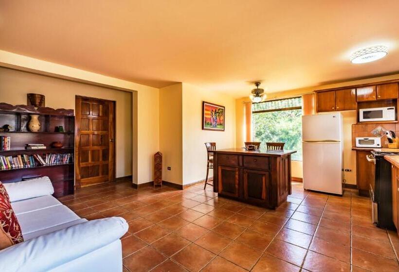 شقة غرفة واحدة, La Terraza Guest House B&b