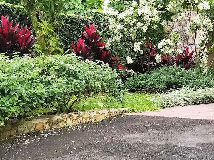 غرفة قياسية, La Terraza Guest House B&b