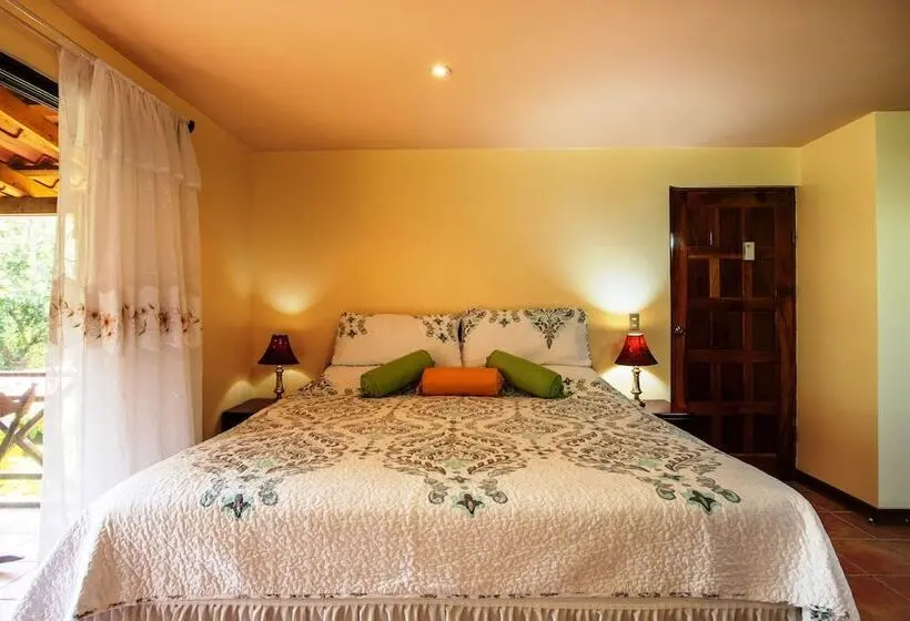 １ベッドルームアパートメント, La Terraza Guest House B&b