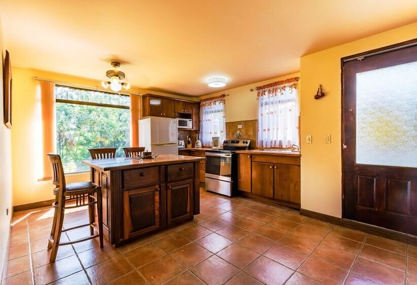 شقة غرفة واحدة, La Terraza Guest House B&b