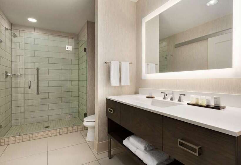 جناح ديلوكس سرير كينج, Embassy Suites By Hilton Berkeley Heights