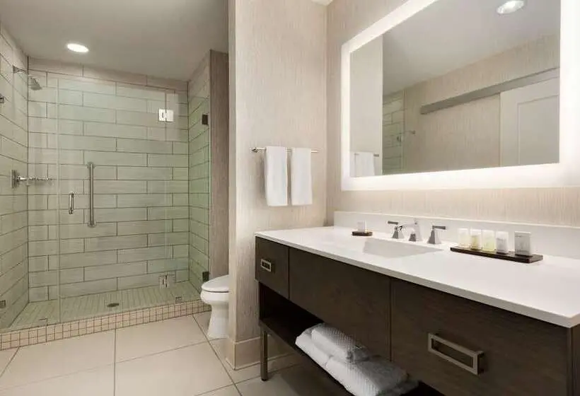 キングサイズベッドのデラックススイート, Embassy Suites By Hilton Berkeley Heights
