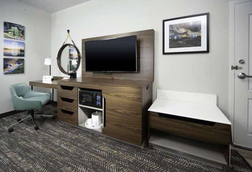 غرفة قياسية لذوى الاحتياجات الخاصة, Hampton Inn St Albans