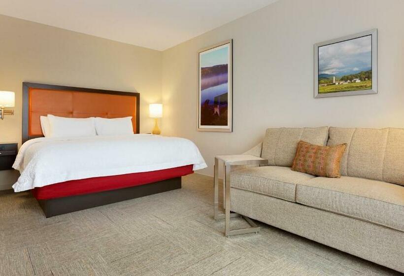 חדר סטנדרט עם מיטת קינג, Hampton Inn St Albans