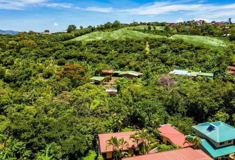 غرفة قياسية, La Terraza Guest House B&b