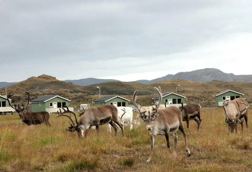 2ベッドルームハウス, Nordkapp Camping
