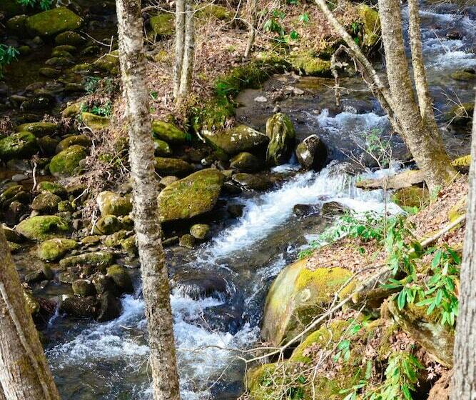 베이직 룸 더블 침대, The Owl's Perch