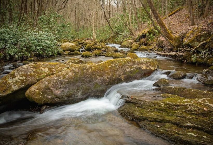 베이직 룸 더블 침대, The Owl's Perch