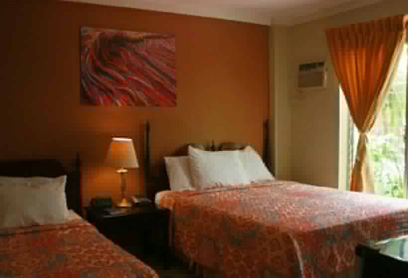 Номер Стандарт, Andoria