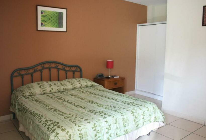 Номер Стандарт Индивидуальный, Andoria