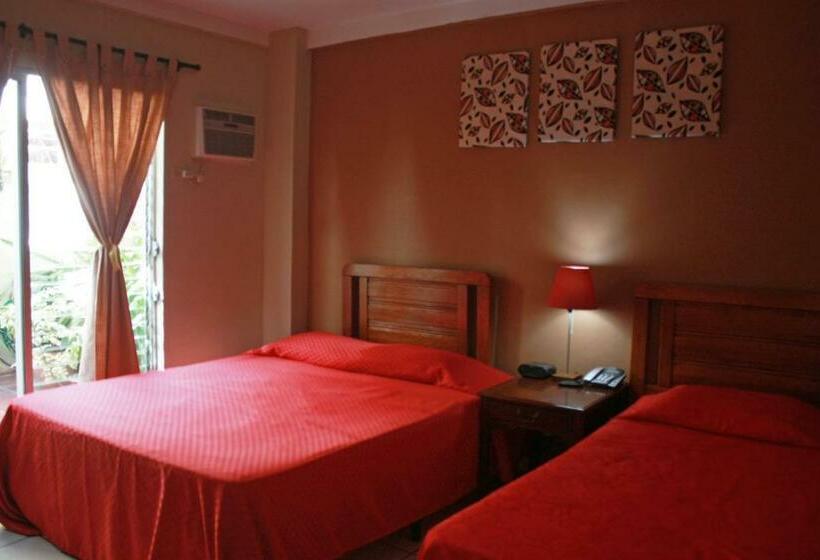 Номер Стандарт, Andoria