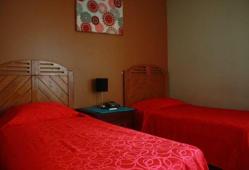 Номер Стандарт, Andoria