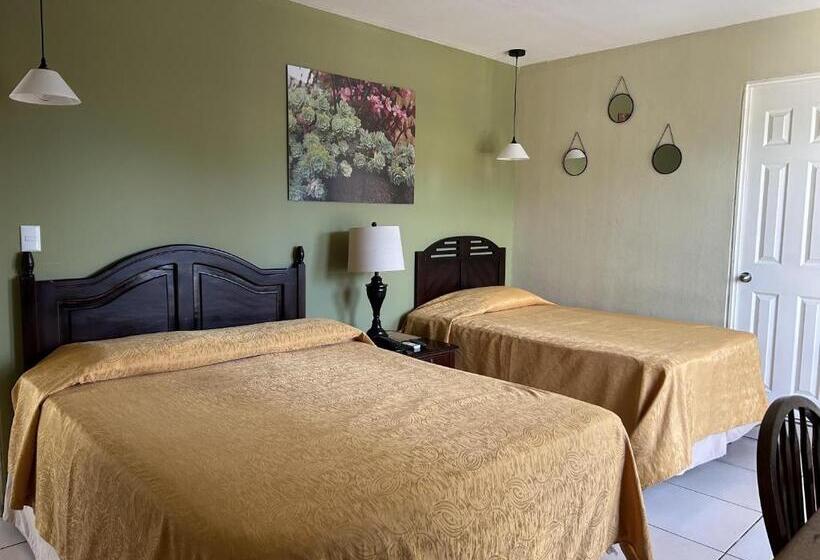 Номер Стандарт, Andoria