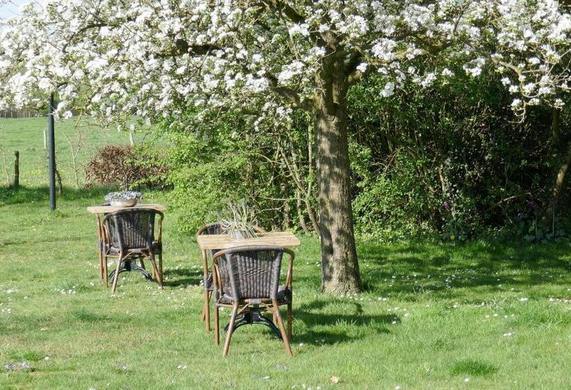 חדר סטנדרט חדר אמבטיה משותף, B&b Rezonans