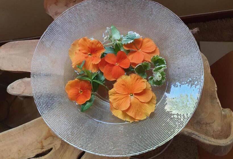 חדר משפחתי, B&b Rezonans