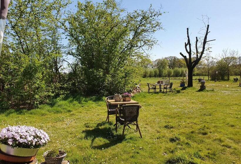 חדר משפחתי, B&b Rezonans