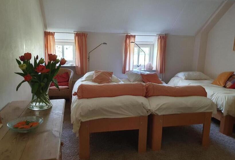 Семейный Номер, B&b Rezonans