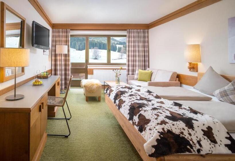 스탠다드 발코니 룸, Pension Schattberg