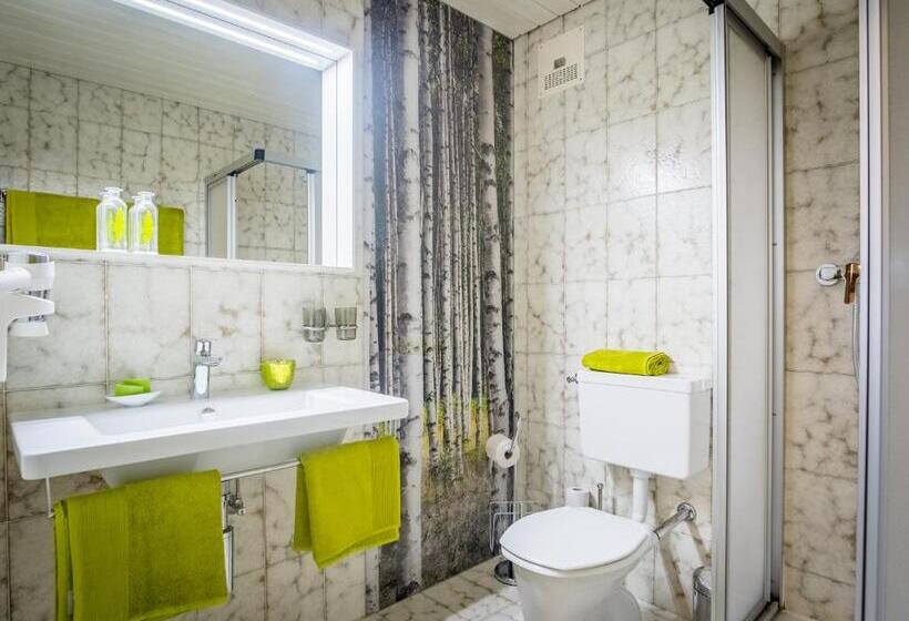 스탠다드 룸, Pension Schattberg