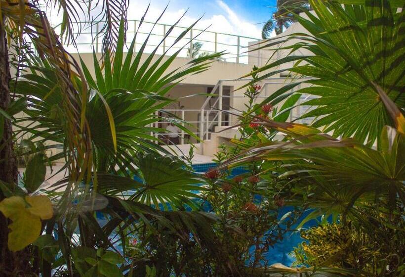 ジュニアスイート, Playa Maya By Mij Beachfront