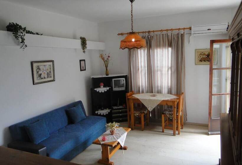 スタンダードスタジオ, Paradise Inn