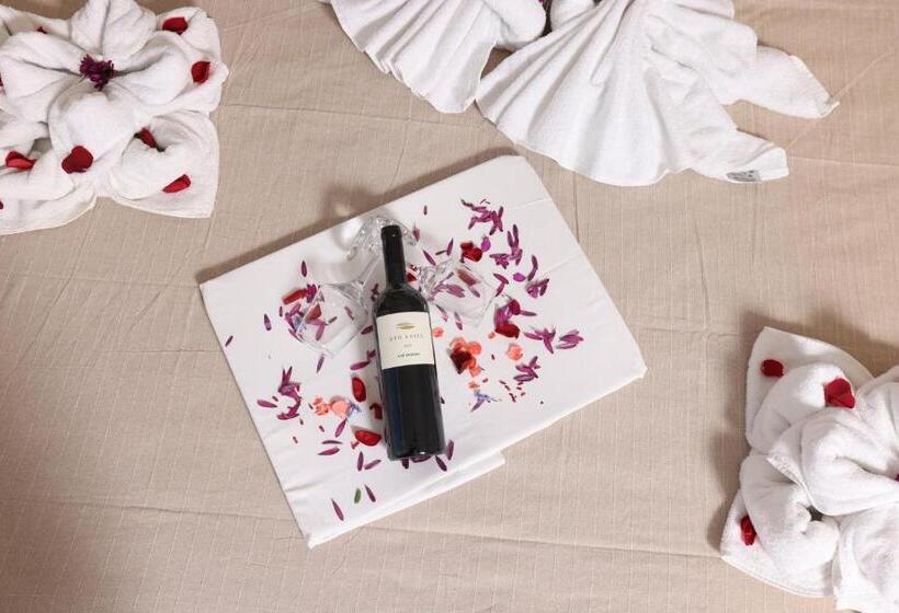 Студия Стандарт, Summer Dream