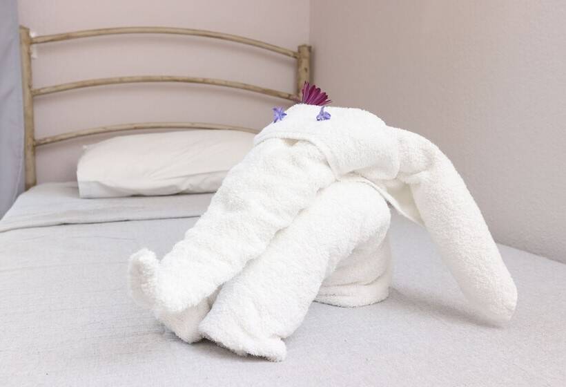 Студия Deluxe, Summer Dream