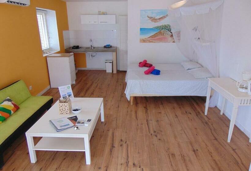 استودیو کامفورت, Bnbbonaire Near The Ocean