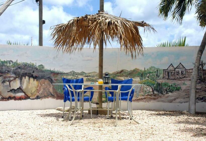 استودیو کامفورت, Bnbbonaire Near The Ocean