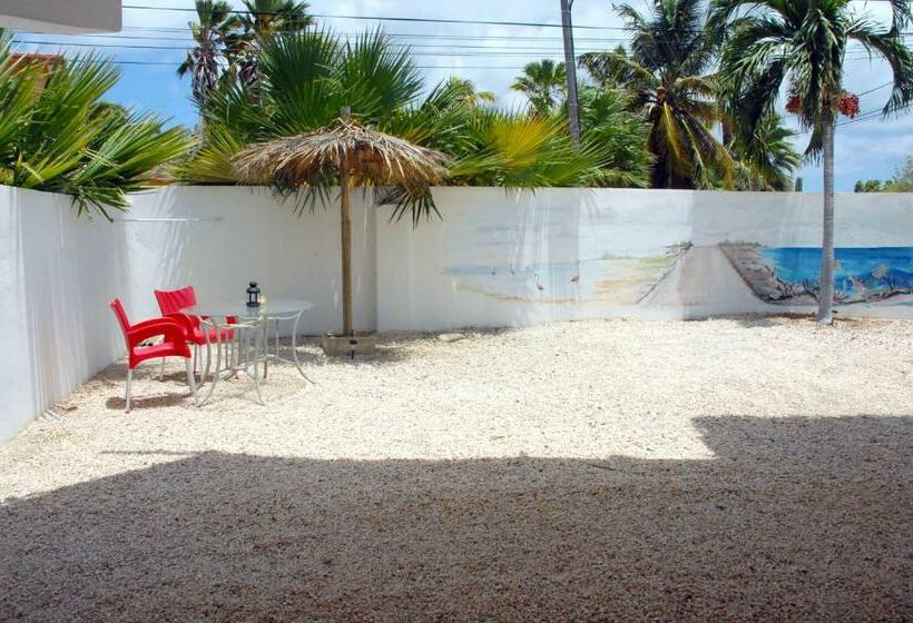 استودیو کامفورت, Bnbbonaire Near The Ocean