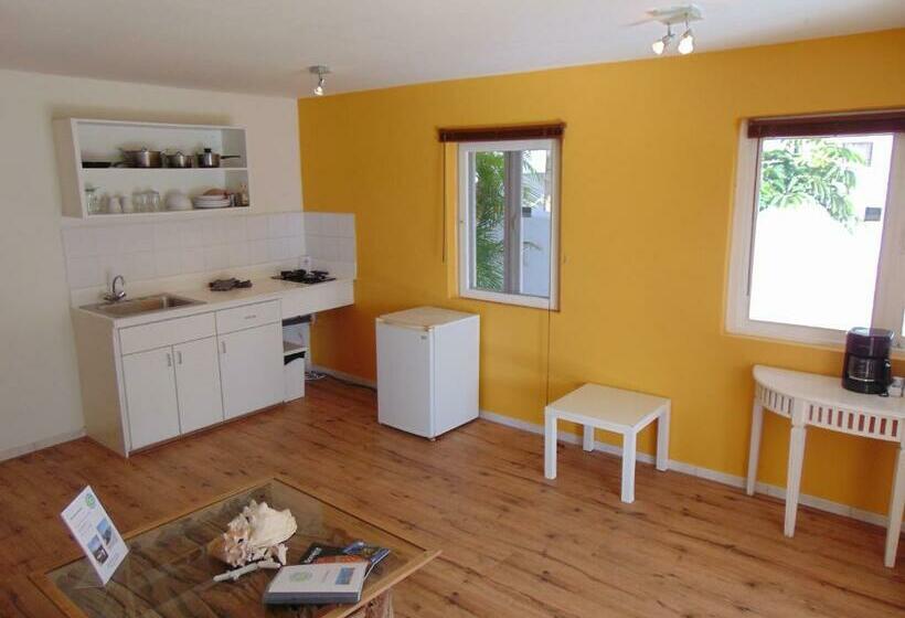 استودیو کامفورت, Bnbbonaire Near The Ocean