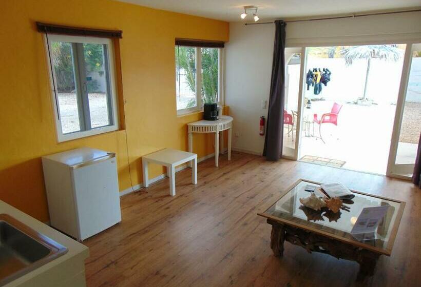 استودیو کامفورت, Bnbbonaire Near The Ocean