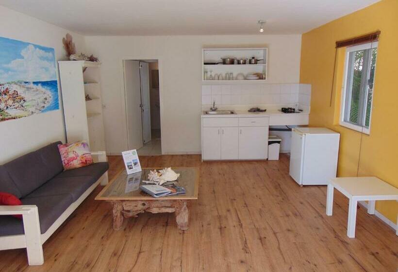 استودیو کامفورت, Bnbbonaire Near The Ocean