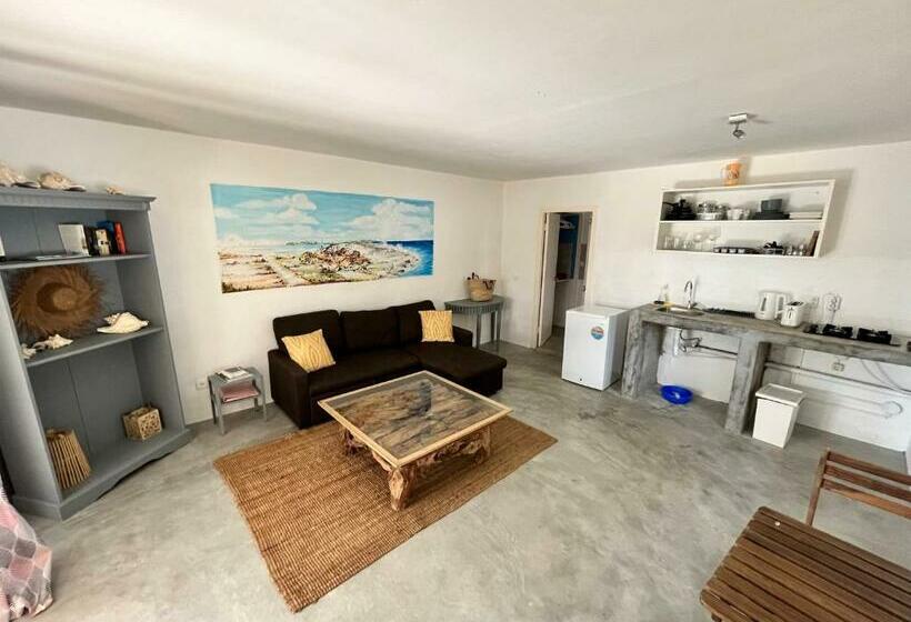 استودیو کامفورت, Bnbbonaire Near The Ocean