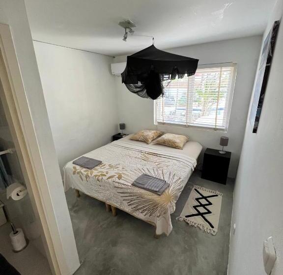 استودیو کامفورت, Bnbbonaire Near The Ocean