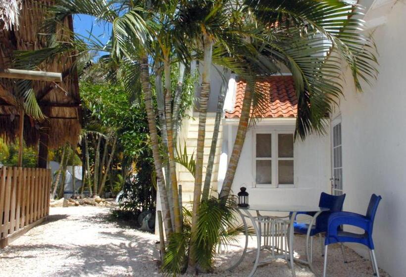 استودیوی استاندارد, Bnbbonaire Near The Ocean