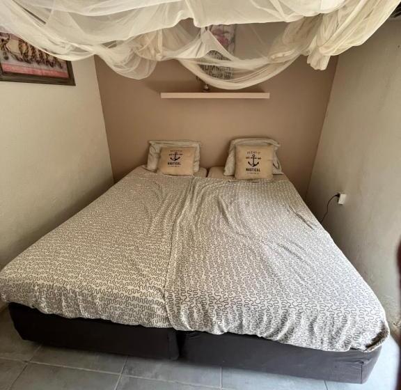 استودیو ساده, Bnbbonaire Near The Ocean