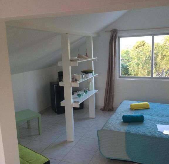 استودیوی لوکس, Bnbbonaire Near The Ocean