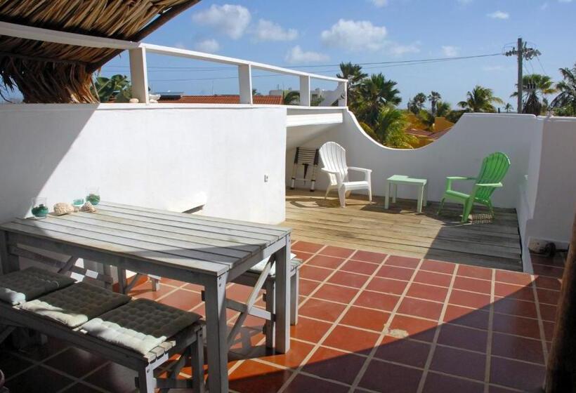 استودیوی لوکس, Bnbbonaire Near The Ocean