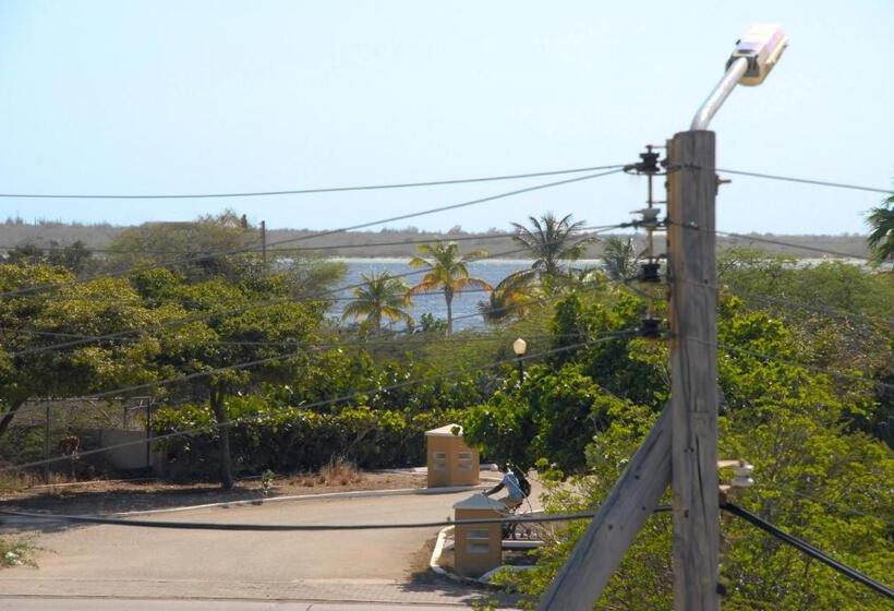 استودیوی لوکس, Bnbbonaire Near The Ocean