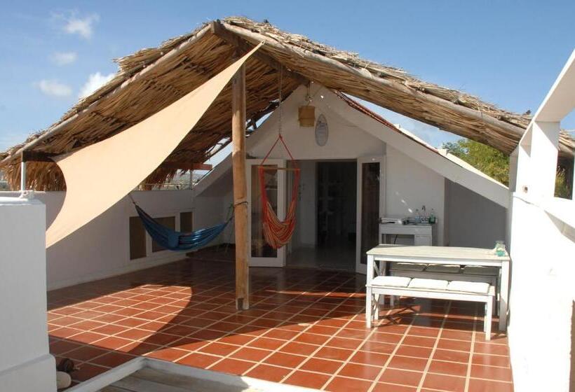 استودیوی لوکس, Bnbbonaire Near The Ocean