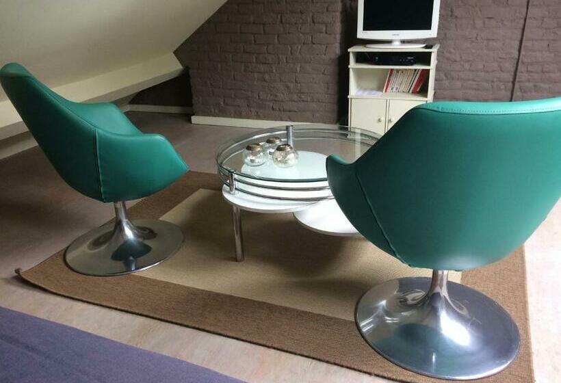 Duplex Appartement met 1 Slaapkamer, Villa Des Roses Voltaire