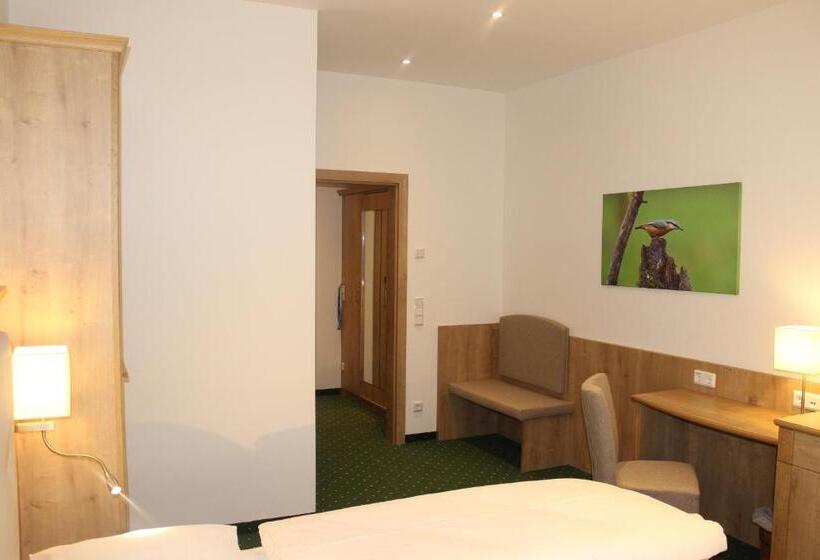 舒适型房间, Donauhotel Lettnerhof