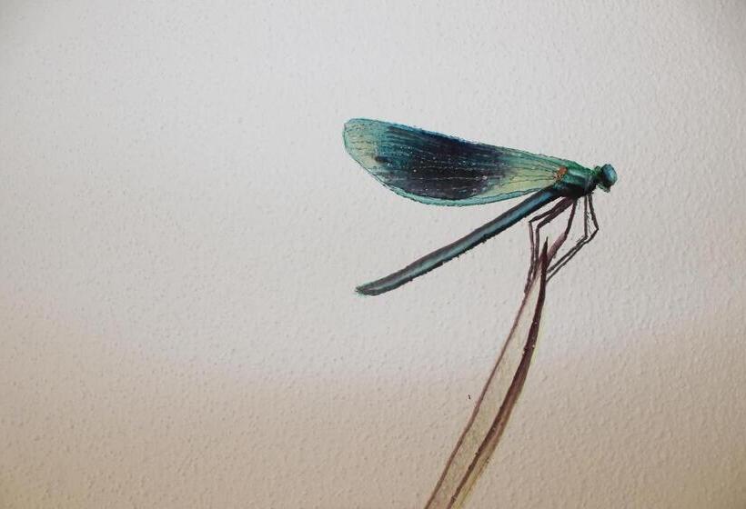 标准单人间, Donauhotel Lettnerhof